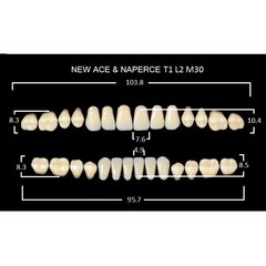 New Ace, зуби акрилові двошарові, повний гарнітур, T1-A1