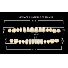 New Ace, зуби акрилові двошарові, повний гарнітур, O2-A1