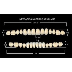 New Ace, зуби акрилові двошарові, повний гарнітур, S2-A1