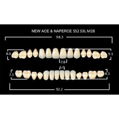 New Ace, зубы акриловые двухслойные, полный гарнитур, SS2-A1