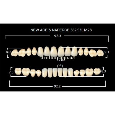 New Ace, зуби акрилові двошарові, повний гарнітур, SS2-A1