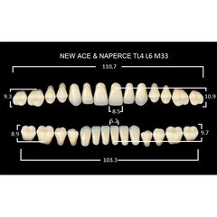 New Ace, зубы акриловые двухслойные, полный гарнитур, TL4-A1