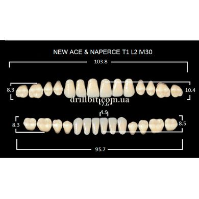 New Ace, зубы акриловые двухслойные, полный гарнитур, T1-A1